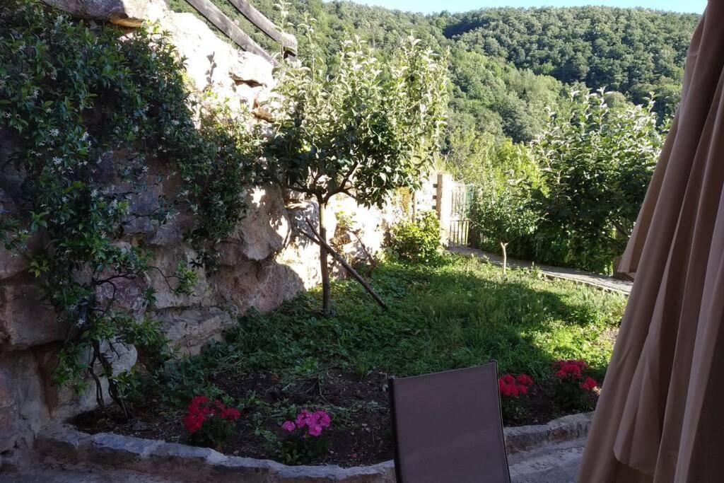 El Mirador De Cobena Ii. Aires De Liebana En Picos Apartment Екстериор снимка
